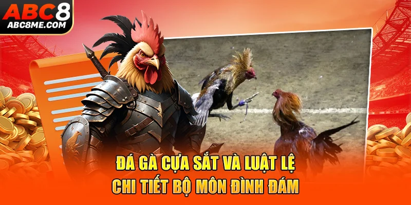 Đá Gà Cựa Sắt ABC8 Và Luật Lệ Chi Tiết Bộ Môn Đình Đám Đá Gà Cựa Sắt