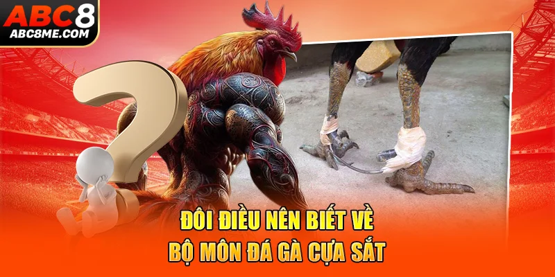 Đá Gà Cựa Sắt ABC8 Và Luật Lệ Chi Tiết Bộ Môn Đình Đám Đôi điều nên biết về bộ môn đá gà cựa sắt